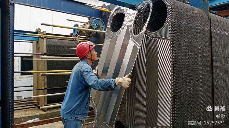 1604651001259524.jpeg 6.jpeg