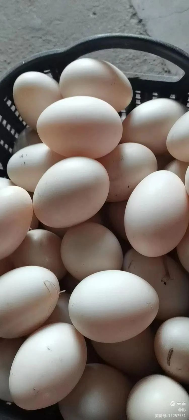 1651456908780940.jpg 11.jpg