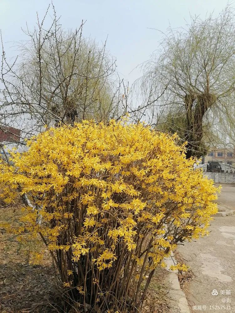 1651456910160121.jpg 24.jpg