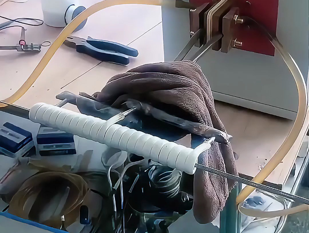 海瑞拓超高頻加熱機：不銹鋼絲在線退火的高效解決方案，賦能多領域線材加工